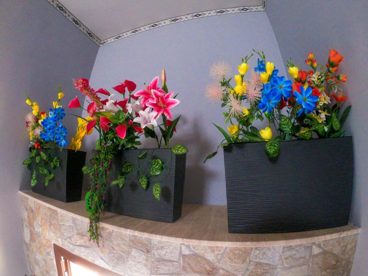 Appartement A Casa Di Lele à Porto Cesareo Extérieur photo